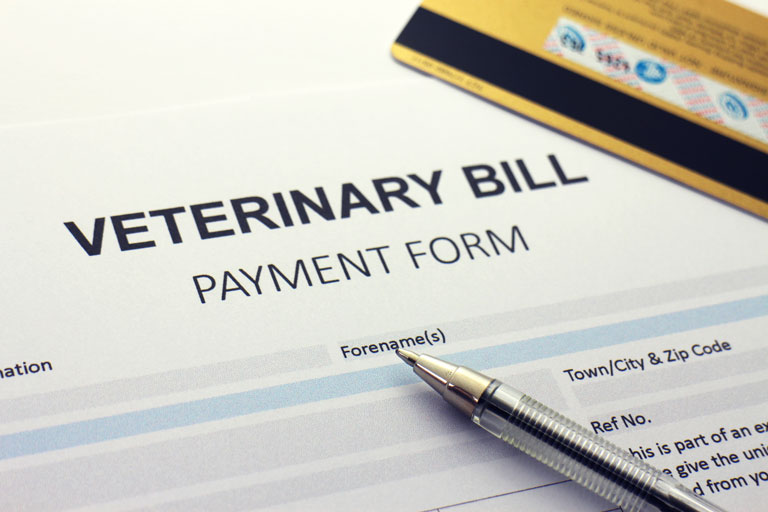 Veterinary Payment Form